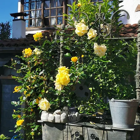 Tatil Evi Renovierte Paradies Mit Privatem Pool *