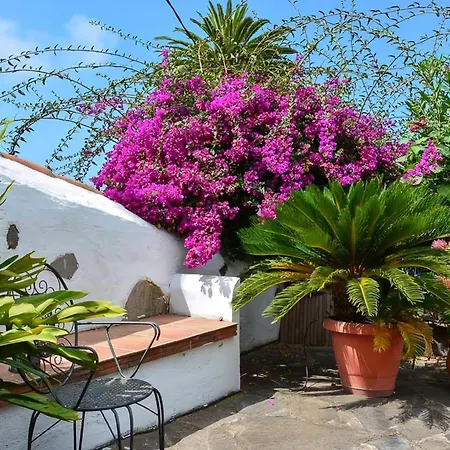 Renovierte Paradies Mit Privatem Pool Tatil Evi